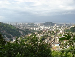 DSC01419
