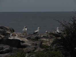 img 1517