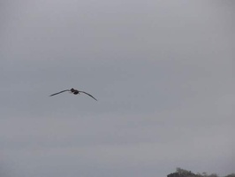 img 1581