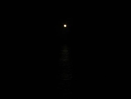 img 1773