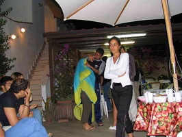 Immagine 081