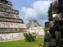 img 1558