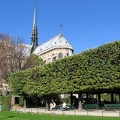 img 5095