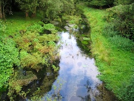 15-agosto killarney9