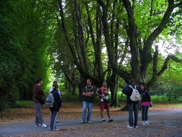 15-agosto killarney12