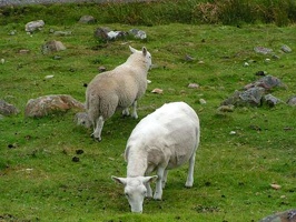 pict00082