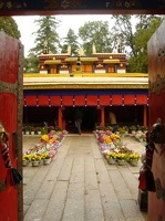 dsc02029