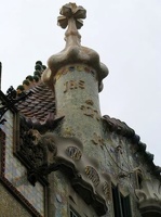 img 5564