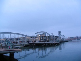 img 5589