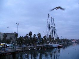 img 5590