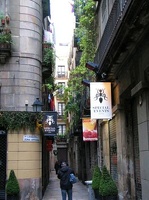 img 5725