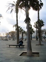 img 5778