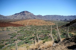 img 1081