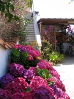 Immagine 019