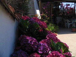 Immagine 023