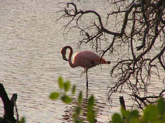 img_1454.jpg